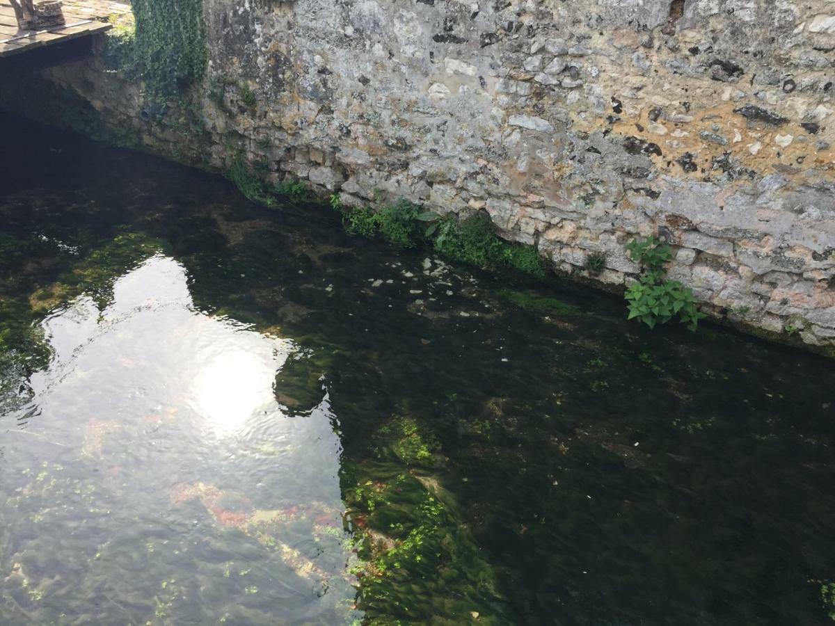 Le Moulin De La Cote Chambre D'Hotes Saint-Vigor Eksteriør billede